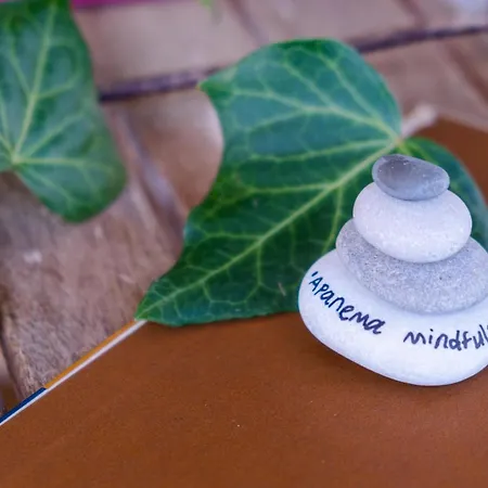 Apanema Mindfulness Lefkada Asprogerakata