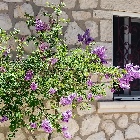 Apanema Mindfulness With Fast Wifi, Pool, Sauna, Massage Villa