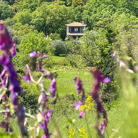 Apanema Mindfulness, Relaxing Adults Only Resort, Fast Wifi, Pool, Sauna, Massage *